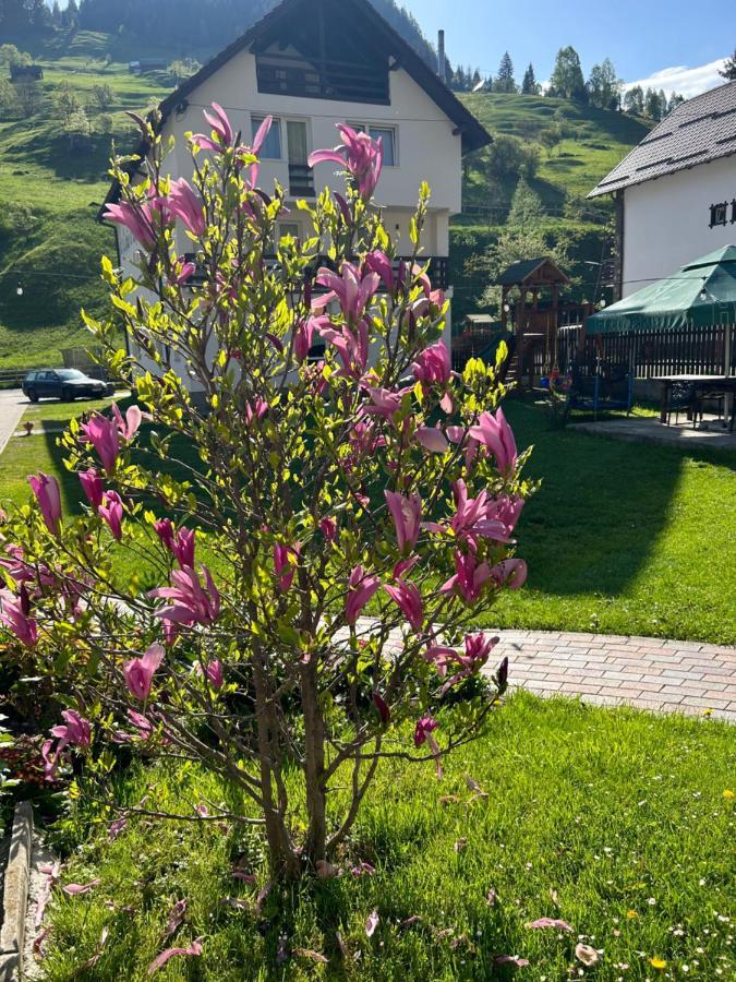 Casa Mia Hotell Moeciu De Sus Exteriör bild