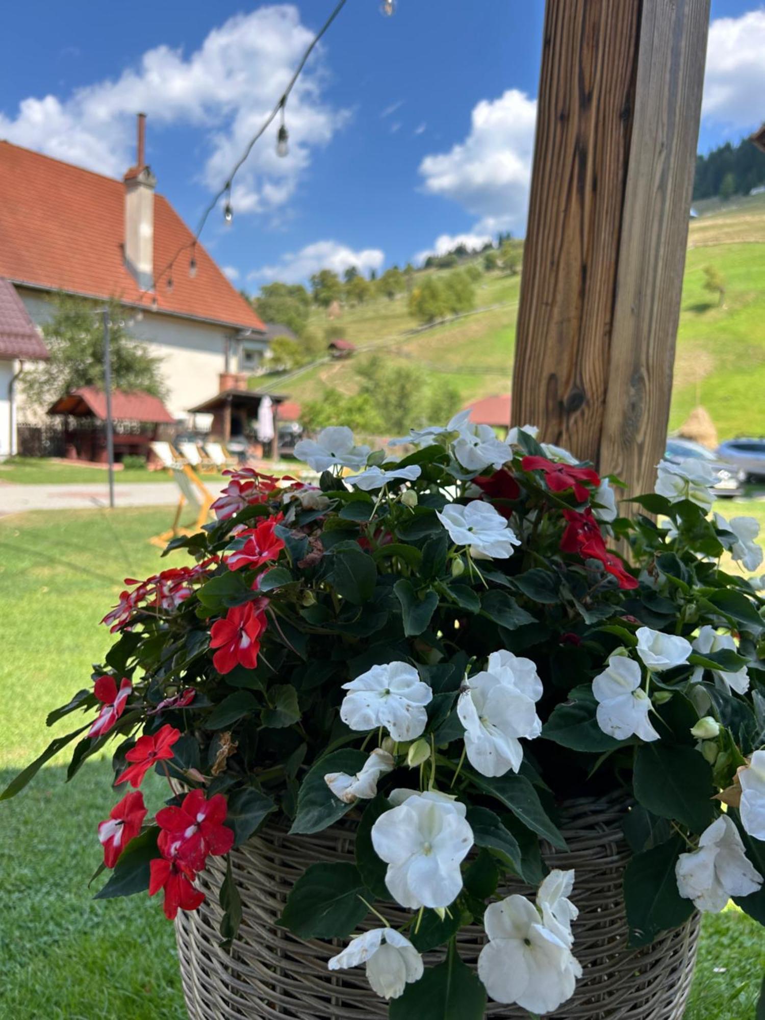 Casa Mia Hotell Moeciu De Sus Exteriör bild