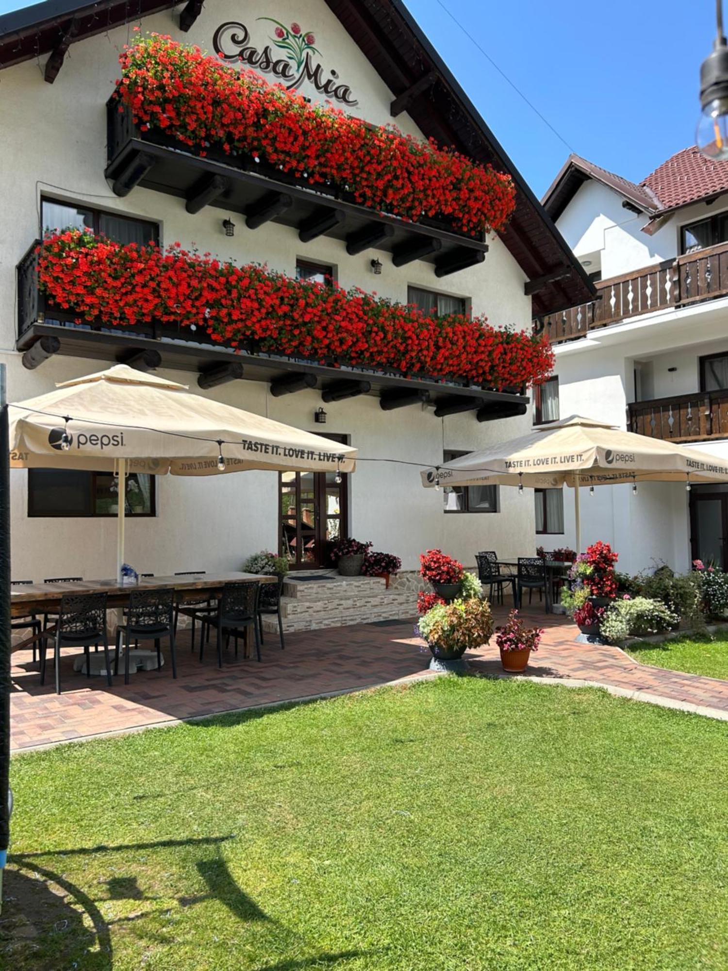 Casa Mia Hotell Moeciu De Sus Exteriör bild