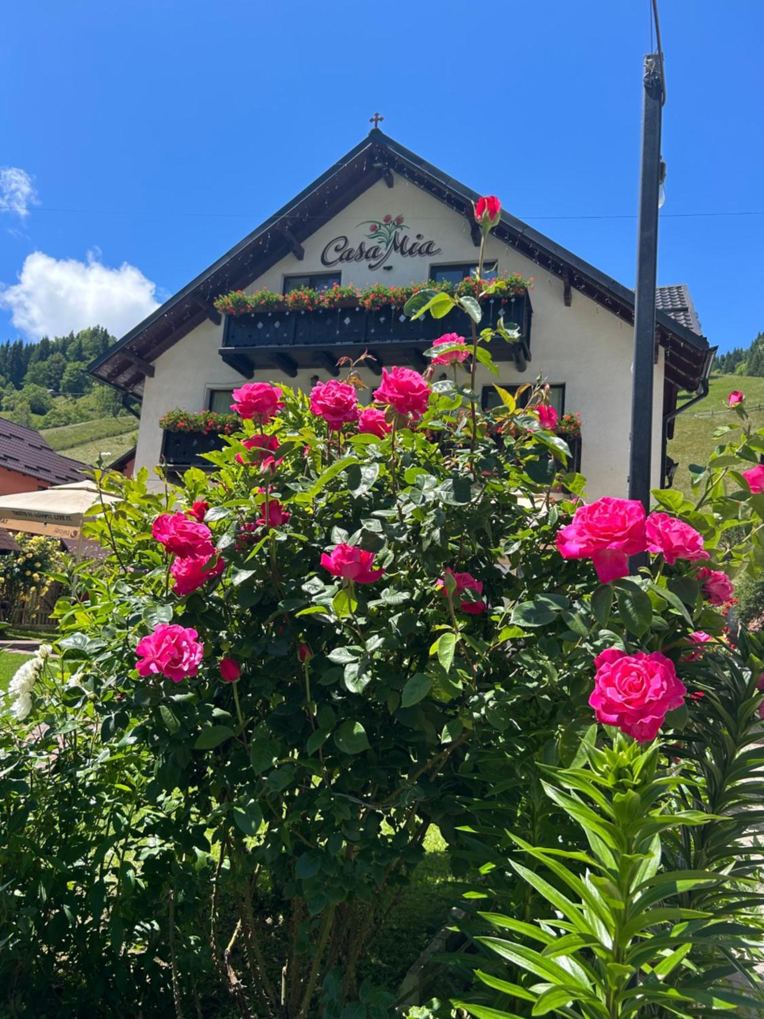 Casa Mia Hotell Moeciu De Sus Exteriör bild