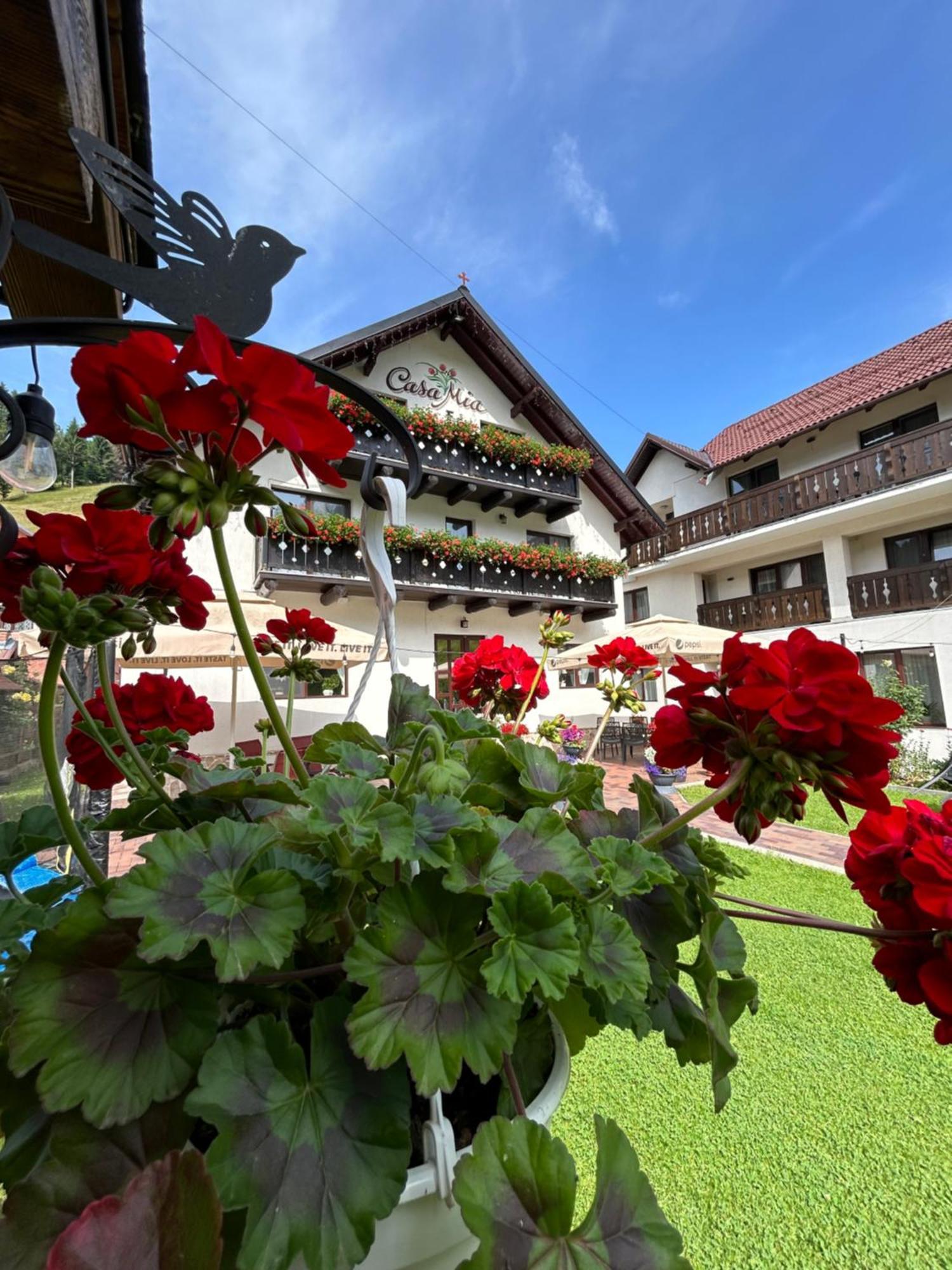 Casa Mia Hotell Moeciu De Sus Exteriör bild